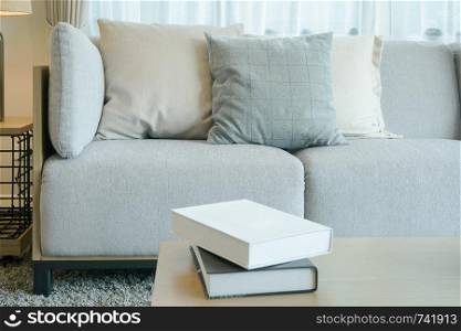 Light gray sofa with pillows in modern style living room with books
