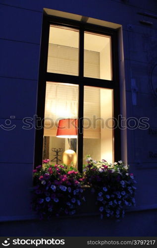 light in the window and hanging flowers from it