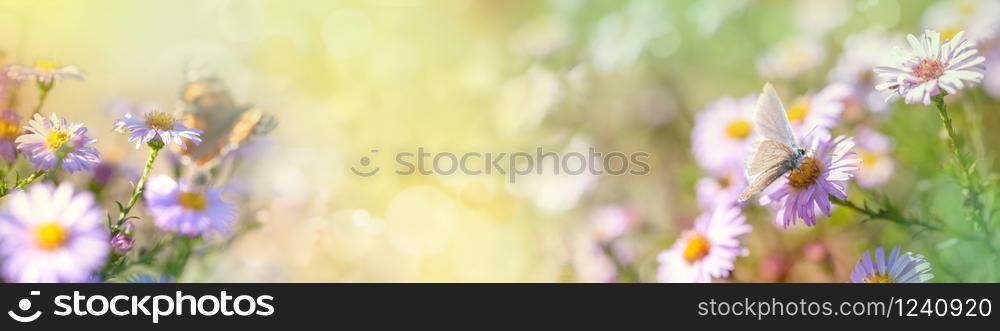 light panoramic spring background with flower