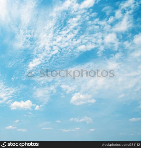 Light white clouds in blue sky. Copy space for text