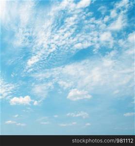 Light white clouds in blue sky. Copy space for text