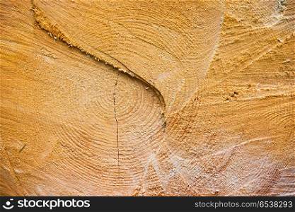 Light yellow cracked wooden texture can be used for background. Light yellow cracked wooden texture