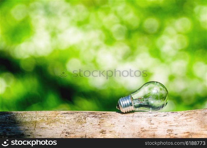 Lightbulb in bright light in a green forest