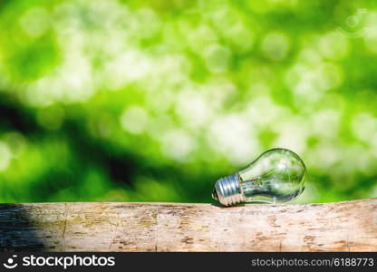 Lightbulb in bright light in a green forest