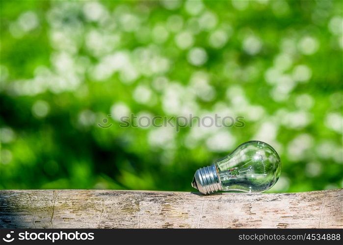 Lightbulb in green nature in bright light