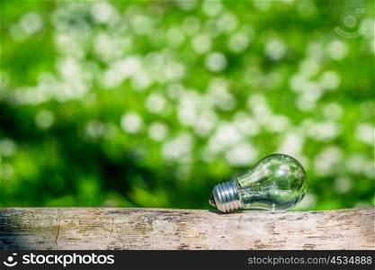 Lightbulb in green nature in bright light