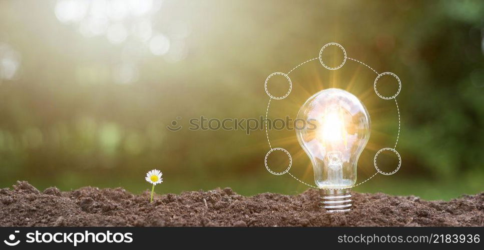 lightbulb with small plant on soil and sunshine. concept saving energy in nature