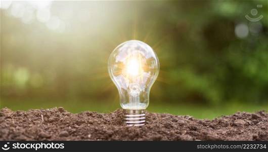 lightbulb with small plant on soil and sunshine. concept saving energy in nature