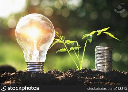 lightbulb with small tree and money stack on soil in nature sunset background. concept saving energy