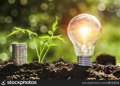lightbulb with small tree and money stack on soil in nature sunset background. concept saving energy