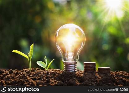 lightbulb with tree and coins on soil sunshine background concept saving energy and finance