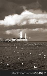 lighthouse abd flock of birds on water