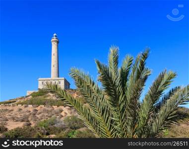 Lighthouse Cabo de Palos summer view and palm tree in front (Cartagena, Murcia, Spain).