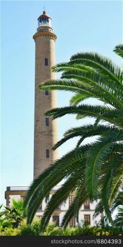 Lighthouse in Maspalomas with palm in front, Gran Canaria