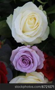 Lilac and white roses in close up as part of a flower arrangement