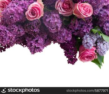 Lilac flowers. Border of violet Lilac flowers with pink roses isolated on white background