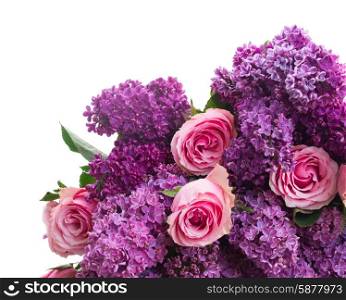Lilac flowers. fresh purple Lilac flowers with pink roses close up isolated on white background
