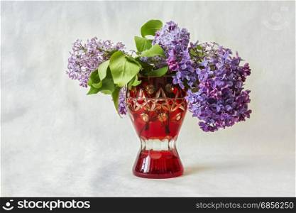 Lilac flowers in a red vase on a gray background