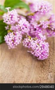 lilac flowers over wooden background