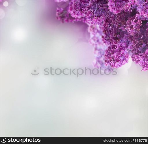 Lilac fresh flowers frame over gray garden background with copy space. Lilac flowers on white