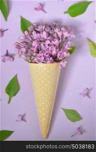 lilac in cone on paper background