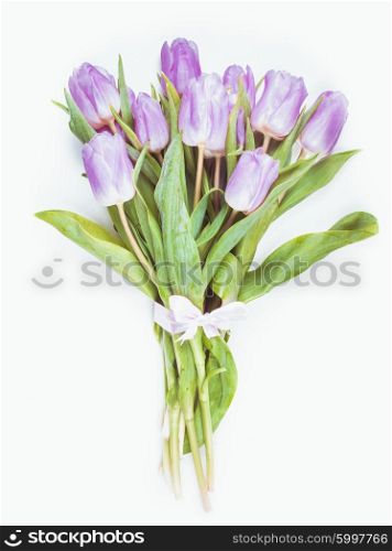 Lilac tulips isolated on white, for design
