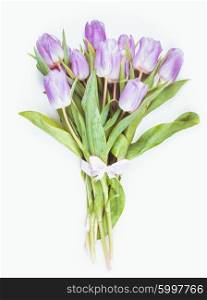 Lilac tulips isolated on white, for design