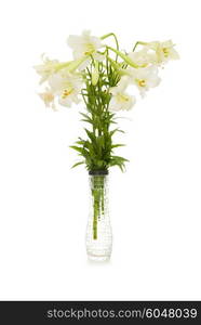 Lilies isolated on the white background