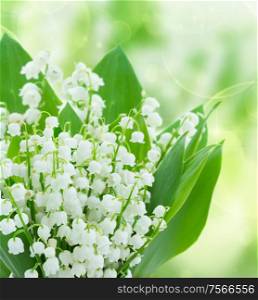 lilly of the valley flowers close up on green bokeh background