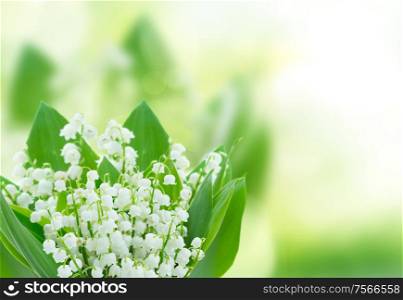 lilly of the valley flowers close up on green bokeh background with copy space. lilly of the valley flowers close up