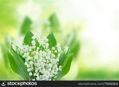 lilly of the valley flowers close up on green bokeh background with copy space. lilly of the valley flowers close up