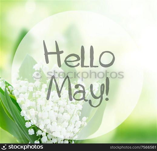 lilly of the valley flowers close up on green bokeh background with hello may words. lilly of the valley flowers close up