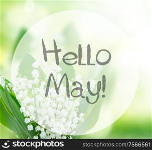 lilly of the valley flowers close up on green bokeh background with hello may words. lilly of the valley flowers close up