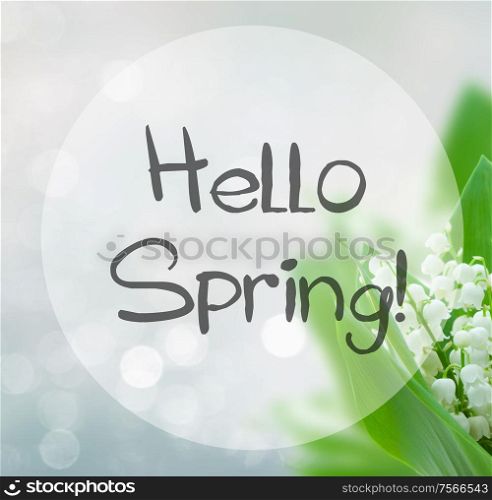 lilly of the valley flowers on blue bokeh background with hello spring words. lilly of the valley flowers