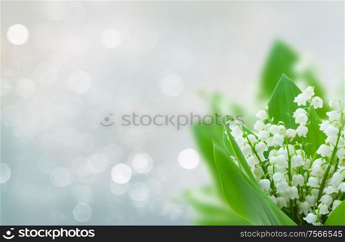 lilly of the valley flowers on blue bokeh banner with copy space. lilly of the valley flowers