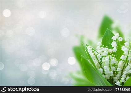 lilly of the valley flowers on blue bokeh banner with copy space. lilly of the valley flowers