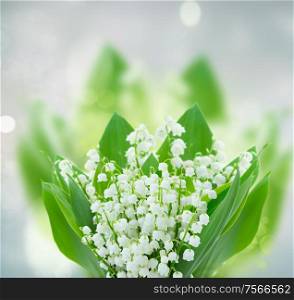 lilly of the valley flowers on gray bokeh background with copy space. lilly of the valley flowers