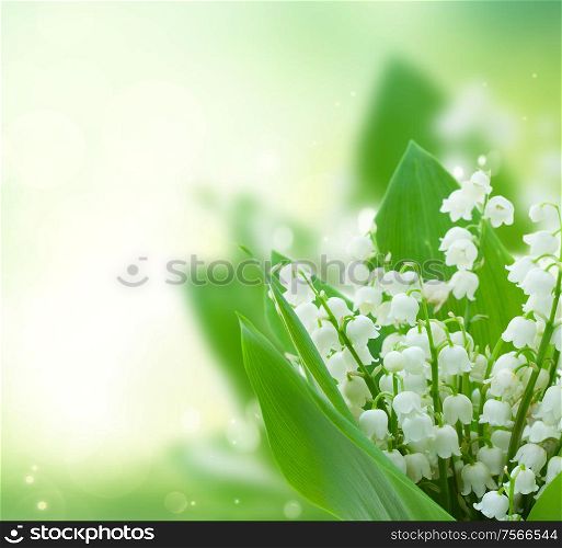 lilly of the valley fresh flowers close up on green bokeh background with copy space. lilly of the valley flowers close up