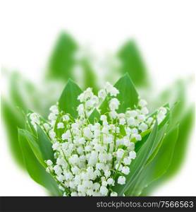 lilly of the valley posy close up isolated on white background