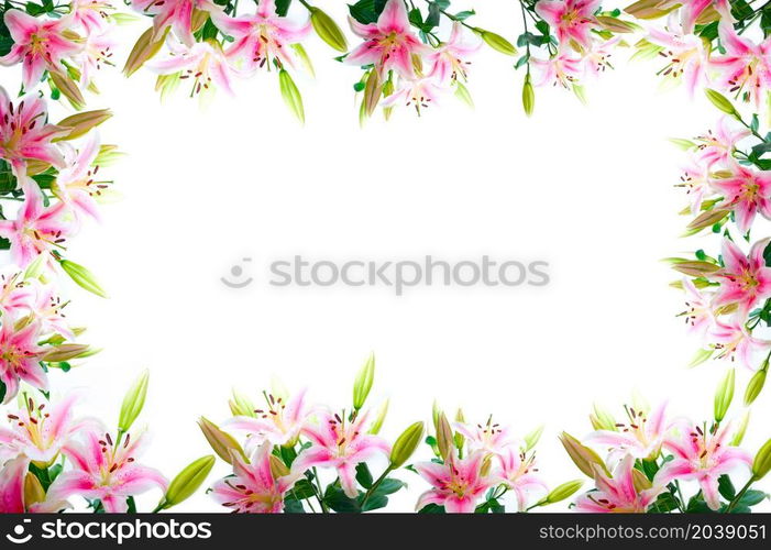 lily flowers composition frame over white copyspace