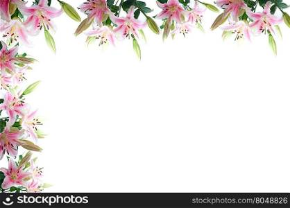lily flowers composition frame over white copyspace