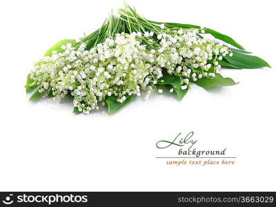 lily of the valley