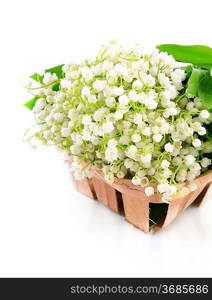 lily of the valley