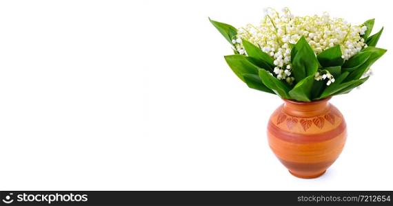 Lily of the valley in flower pot. Isolated on white background. Free space for text. Wide photo.