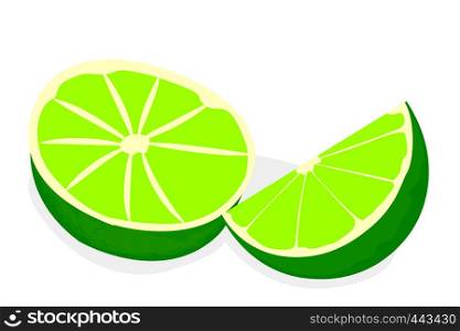 Limes vector illustration isolated on a white background