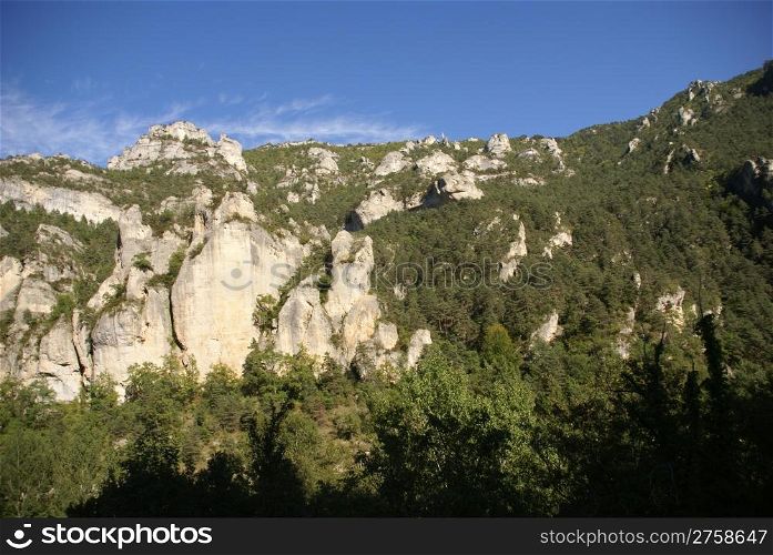 Limestone cliffs and forest near the town of Entraygues, France