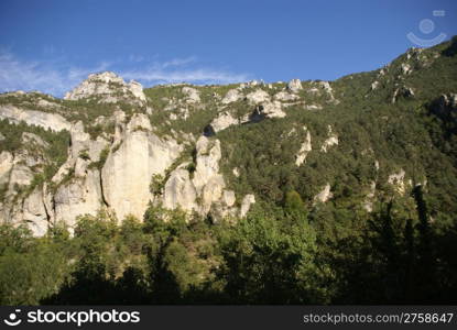 Limestone cliffs and forest near the town of Entraygues, France