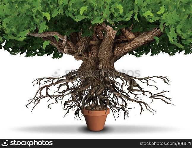 Limited resources business and economy concept as huge tree and roots trying to get nutrients from a small plant pot as a scarcity metaphor with 3D illustration elements.