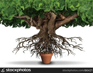 Limited resources business and economy concept as huge tree and roots trying to get nutrients from a small plant pot as a scarcity metaphor with 3D illustration elements.