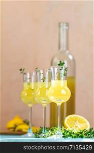 Limoncello with thyme in grappas wineglass with water drops on light concrete table. Artistic still life on light background with sunny light.